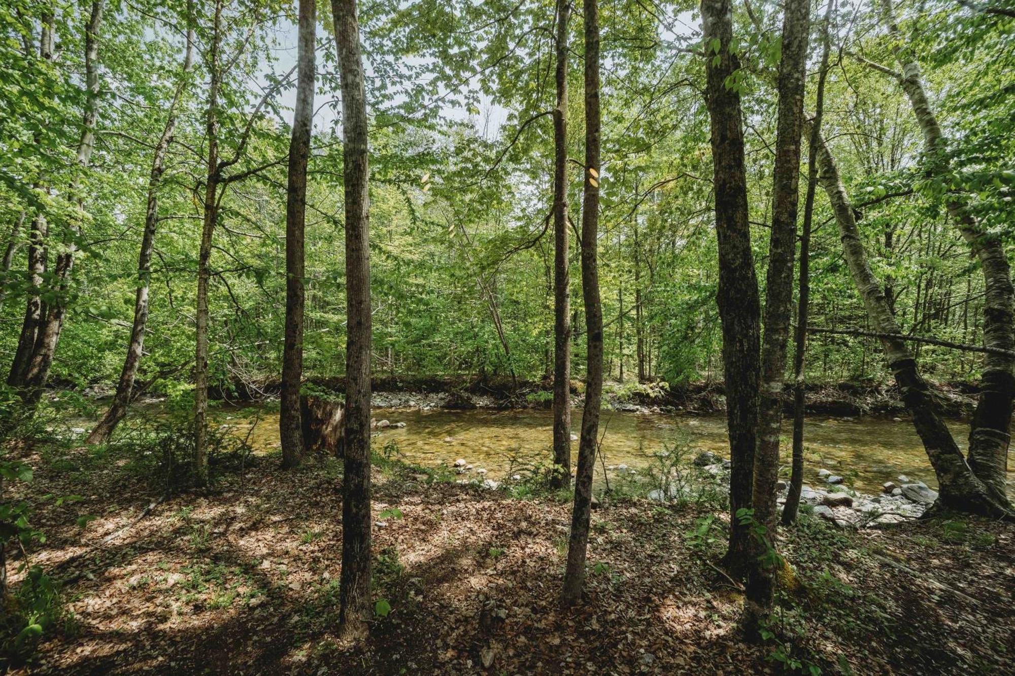 Lumen Nature Retreat Woodstock Quarto foto
